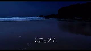 القارئ شريف مصطفى [upl. by Natalie33]