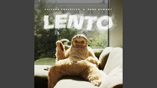 Lento [upl. by Cissej]