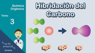 ¿Qué es y por qué ocurre la hibridación [upl. by Enelcaj]