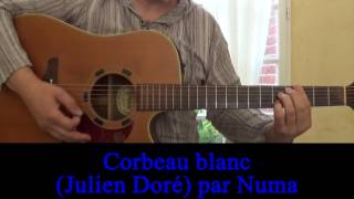 Corbeau blanc Julien Doré cover guitare voix Christophe 2013 [upl. by Britt]