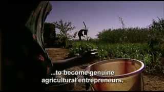 International Development Enterprises India IDEIndia [upl. by Aslin347]