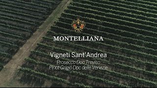 Vigneti SantAndrea [upl. by Kermie658]