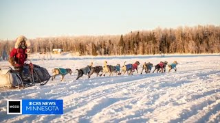 Legendary sled dog race features friendly Minnesota rivalry [upl. by Negeam]