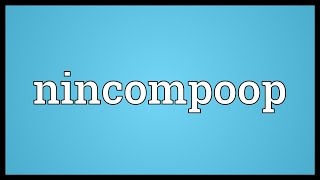 Nincompoop Meaning [upl. by Ketchum]