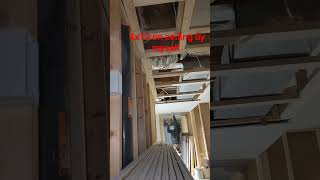 hanging drywall sheet in less than a minute drywaller diydrywall construction drywalling diy [upl. by Scales]