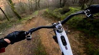 Y Mynydd Cwmcarn Downhill trail on the Nukeproof Megawatt RS Ebike [upl. by Arjan940]