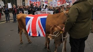 Londres manifestation contre les faibles prix du lait [upl. by Nekciv321]