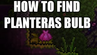 EASY PLANTERA BULBS  LIFE FRUITS [upl. by Niattirb142]