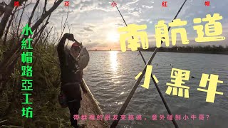 路亞黑鯛、路亞紅糟、路亞石斑、路亞釣點、根魚、路亞硬餌、小米諾、路亞初學者、七股釣點、台南釣點、千夏居酒屋、高雄居酒屋、日式居酒屋、fishing lurefishing 根魚 台南 [upl. by Tiemroth]