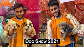 International dog show  Patiala dog show 2021 PART 2 [upl. by Nedgo]