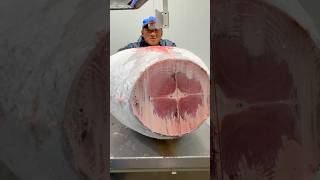 Huge Frozen Tuna Cutting food seafood tuna japan [upl. by Rawna]