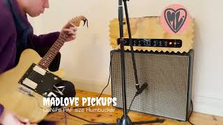 GIBSON Burstbucker 1 amp 2 PAFStyle Humbucker Roundup [upl. by Ahser265]