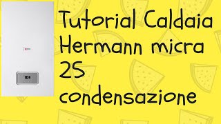 Tutorial Caldaia Hermann Saunier Duval Micra 25 condensazione [upl. by Isidor378]