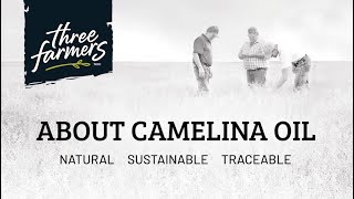 About Camelina Oil by Three Farmers [upl. by Nodyl]