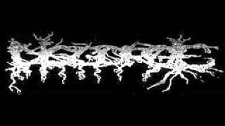 DISGORGE Mex  Disgorging Foetus Regurgitate cover [upl. by Ddal]