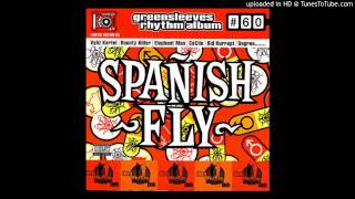 Dj Shakka  Spanish Fly 2004 Riddim Mix  2004 [upl. by Ecurb]