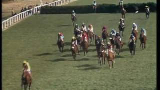 1977 Grand National [upl. by Meriel]