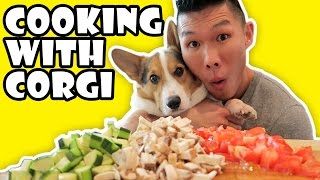 COOKING WITH CORGI DOG  Life After College Ep 520 [upl. by Sheela]