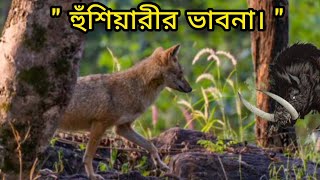 হুঁশিয়ারীর ভাবনা  BANGLA NITI KOTHHA  AMI PATTONTANK BOLCHHI [upl. by Dorothi]