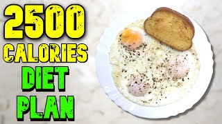 2500 Calorie Meal Plan [upl. by Lamond]