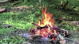 Bushcraft Baking  Damper Bread and Jonny Cakes [upl. by Anawed]