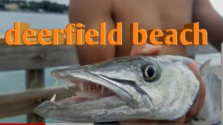 Deerfield beach fishing pier  underwater near live camera [upl. by Akel621]