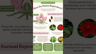 How do plants ☘️ reproduction biology botany [upl. by Westbrook]