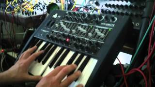 minibrute demo sequences [upl. by Tnerual]