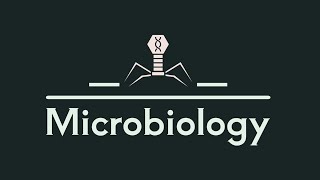 L1 microbiology salmonella and enteric fever [upl. by Ariajay]