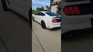 Epic GT350 sound [upl. by Sera662]