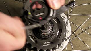 Shimano Nexus Alfine 78 Gear cassette Installing and adjusting [upl. by Eras]