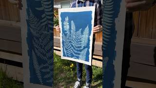 Making a big cyanotype with ferns from my yard 💦 [upl. by Gabbert252]