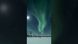 Northern Lights polar light or Aurora Borealis in Norway shorts [upl. by Atinihc210]