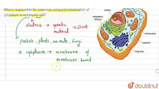 Who is responsible for extensive compartmentalisation of cytoplasm in eukaryotic cell [upl. by Jojo]