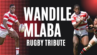 WANDILE MLABA Rugby Tribute  Future Rugby Star 2023  Michaelhouse Rugby mlaba rugby stormers [upl. by Gibbs461]