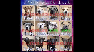 10 23 2024 Deadly High Kill Apple Valley Animal Shelter25 2b slaughtered URGENT PLS HELP NOW [upl. by Christoper548]