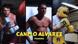 canelo alvarez training motivation [upl. by Eelarak]