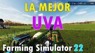 🍇👉Como SEMBRAR y COSECHAR UVA en Farming Simulator 22 🌱🚜La VIÑA en FS22 [upl. by Jehias]