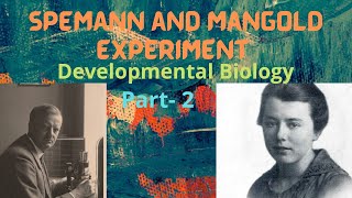 Development Biology l Spemann and Mangold Experiment l Experiment No2 l Part 2 l csirnetdbt [upl. by Gerard725]