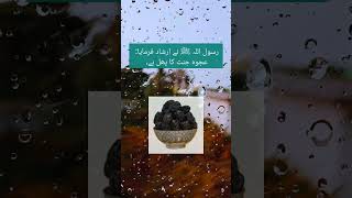 AJWA KHAJOOR K FAWAID quran allah dua health healthy healthyfood healthylifestyle [upl. by Eillod]