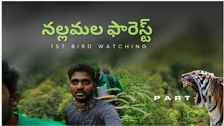 NALLAMALA FOREST  నల్లమల అడవులు పదండి చూసి వద్ధం part 2  teluguphotographyvlogs viewfindersnap [upl. by Augustus]