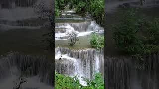 Musique Calme Relaxante  Bruit de la Nature  Relaxation pour se détendre et dormir profondément [upl. by Tterrab]