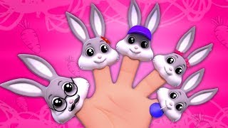 coniglio dito famiglia  rime in italiano  filastrocche  Rabbit Finger Family [upl. by Publias]