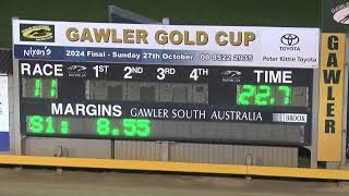 Gawler21102024Race11 [upl. by Jacoba]