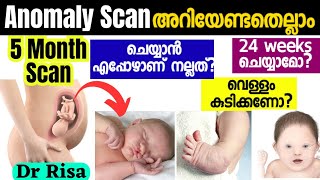 Anomaly Scan Malayalam5 Month Scanning During Pregnancy [upl. by Anigger]