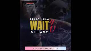 Wait 4 Trabol sum ft BLUNKZ DEE SINGLE [upl. by Che]