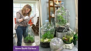 CLOSED TERRARIUM DIY  SEALED BOTTLE GARDENS 🌱 Closed Terrarium Plants 🌿Shirley Bovshow [upl. by Gannes690]