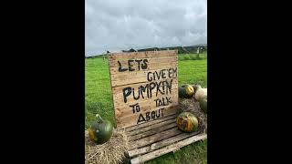 The Pumpkin Trail and The Cow at Tapnell Farm Isle of Wight ♥️ isleofwight fall [upl. by Hayifas]