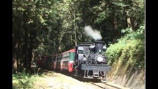 Steam of Alishan Forest Railway TaiwanNov2005 2 台湾・阿里山森林鉄道の蒸気機関車（2005年11月）2 [upl. by Ed]