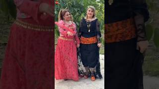 halparke kurdishdance dance [upl. by Champagne]